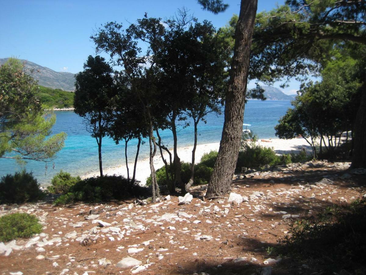 Apartment Korčula Exteriér fotografie
